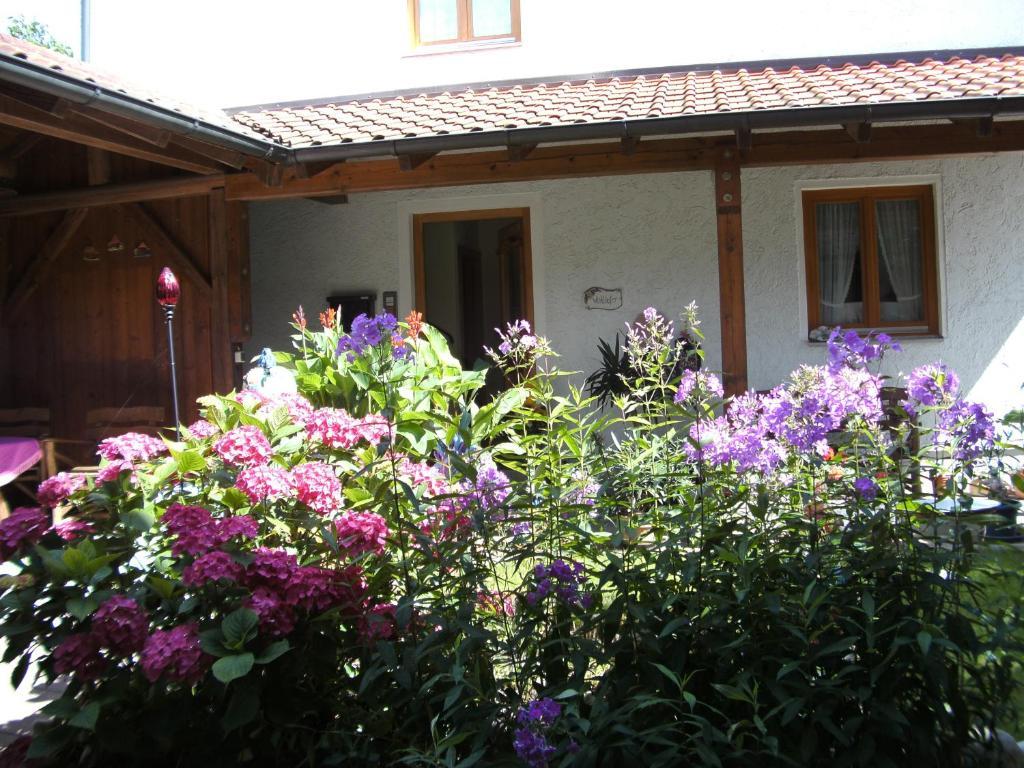 Appartementhaus Elisabeth Winklhofer Bad Füssing Habitación foto